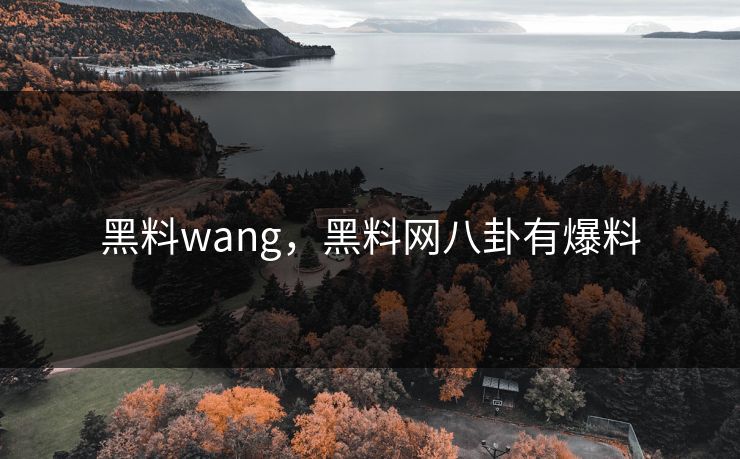 黑料wang，黑料网八卦有爆料