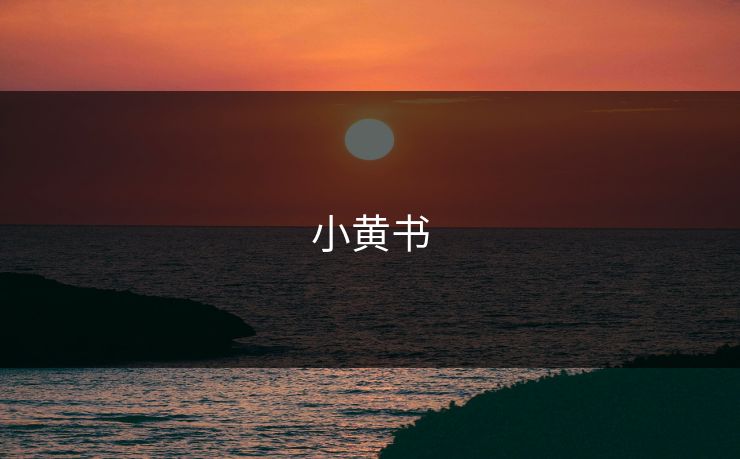 小黄书  第1张