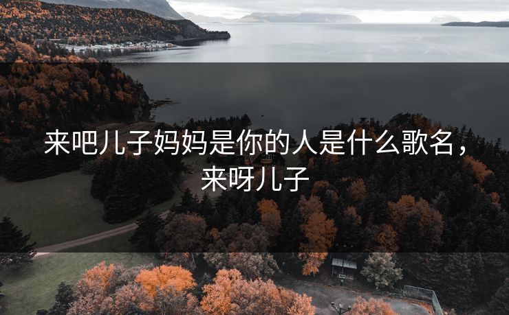 来吧儿子妈妈是你的人是什么歌名，来呀儿子