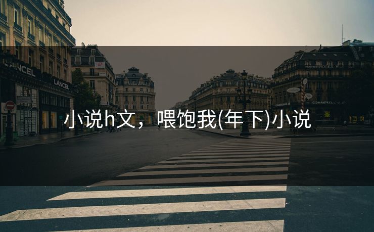 小说h文，喂饱我(年下)小说