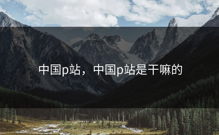 中国p站，中国p站是干嘛的