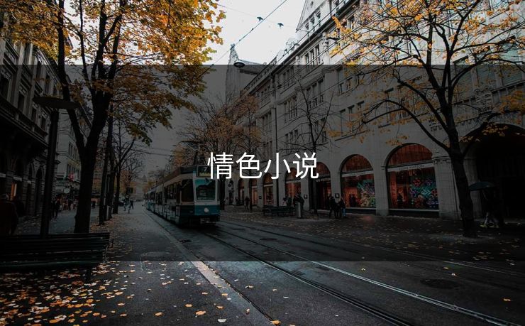 情色小说